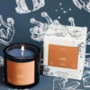 Leo Zodiac Candle - (July 23 - August 22) -Mersea Sales Store air sun sign candle Leo 2