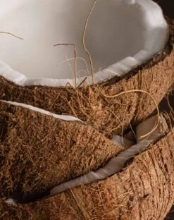 Pura X MERSEA Coconut Sugar Fragrance Refill -Mersea Sales Store pura smart vial coconut sugar 1