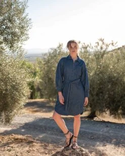 Frankie Chambray Shirt Dress