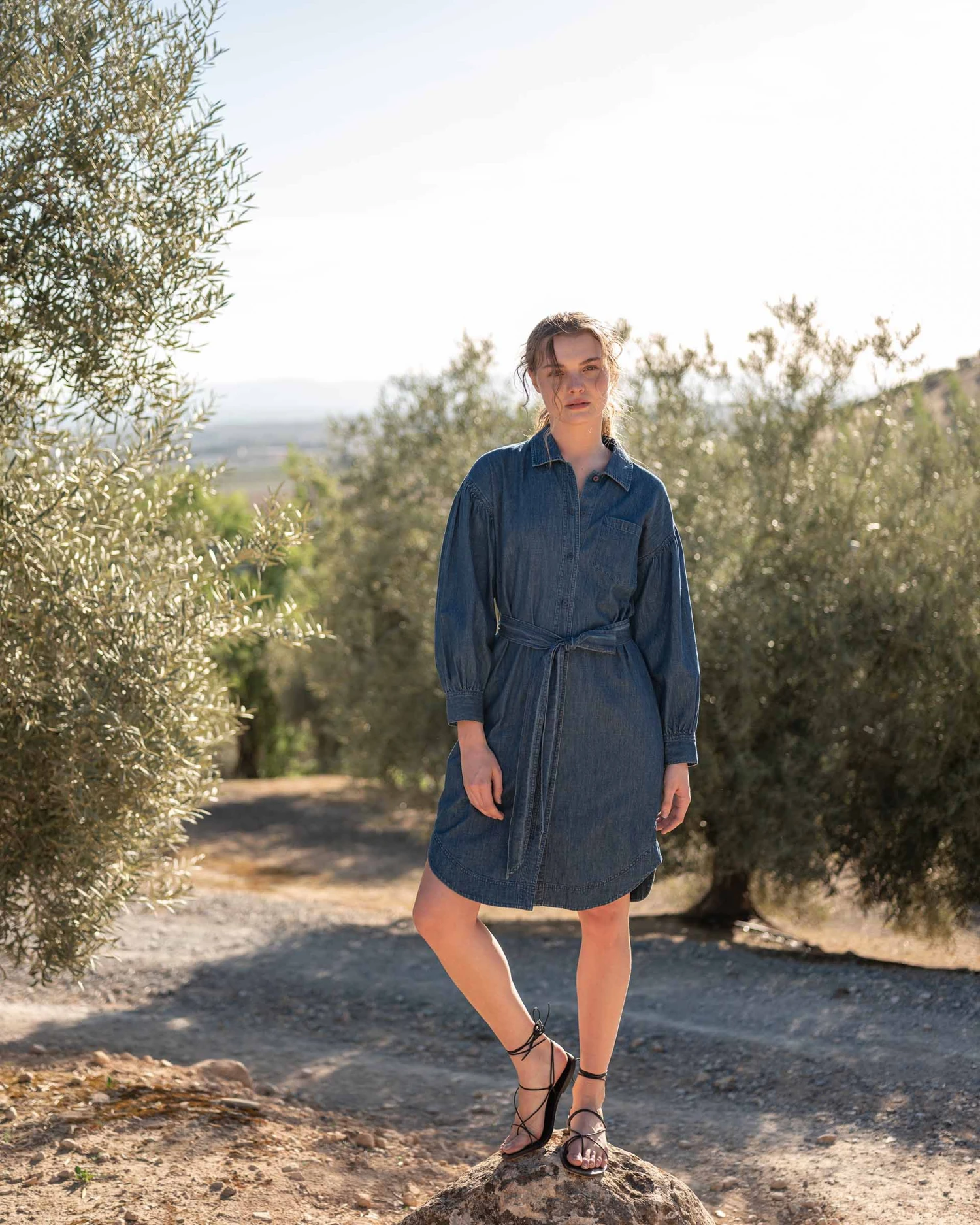 Frankie Chambray Shirt Dress 3 Frankie Chambray Shirt Dress